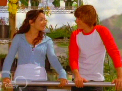 hsm (11)