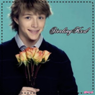28284855_NCARSNUVW - sterling knight