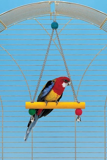 JUCARIE PAPAGAL 4098