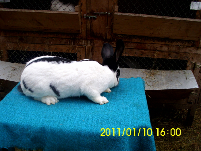 Picture 107