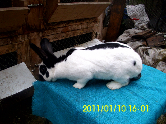 Picture 114