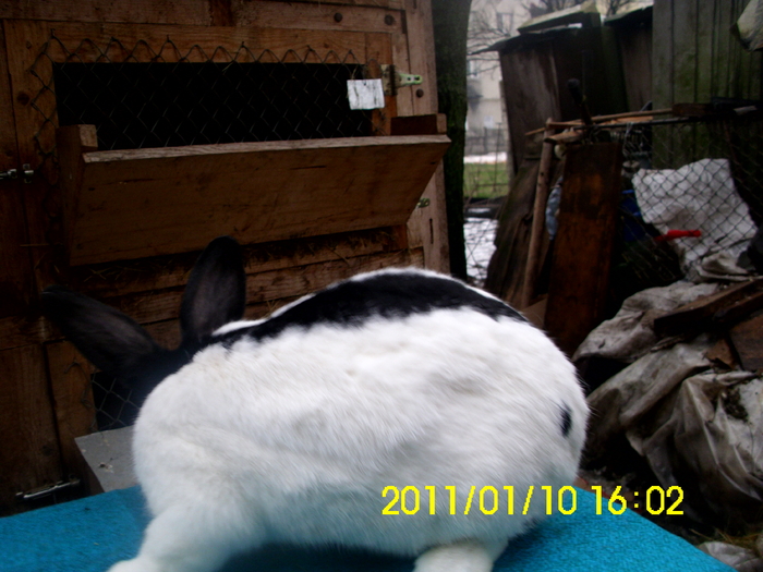 Picture 117