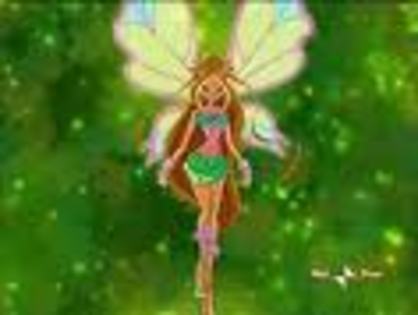 winx shopix - concurs