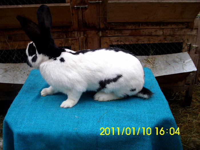 Picture 124