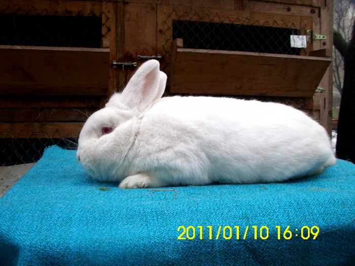 Picture 138