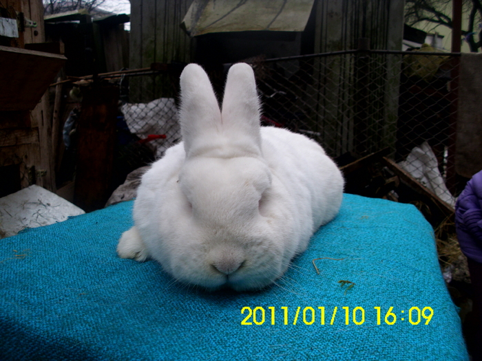 Picture 141