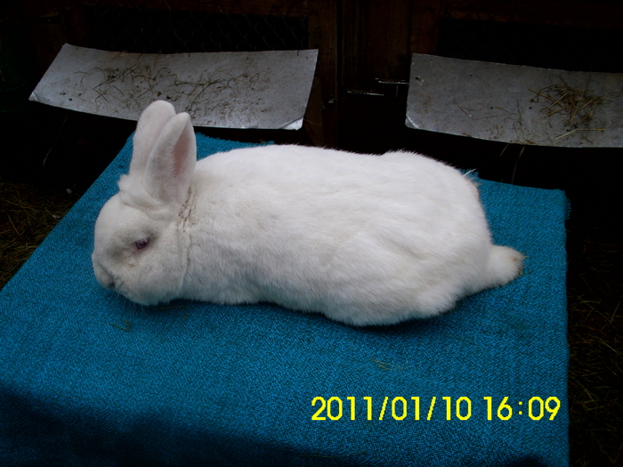 Picture 143