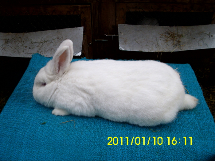 Picture 147