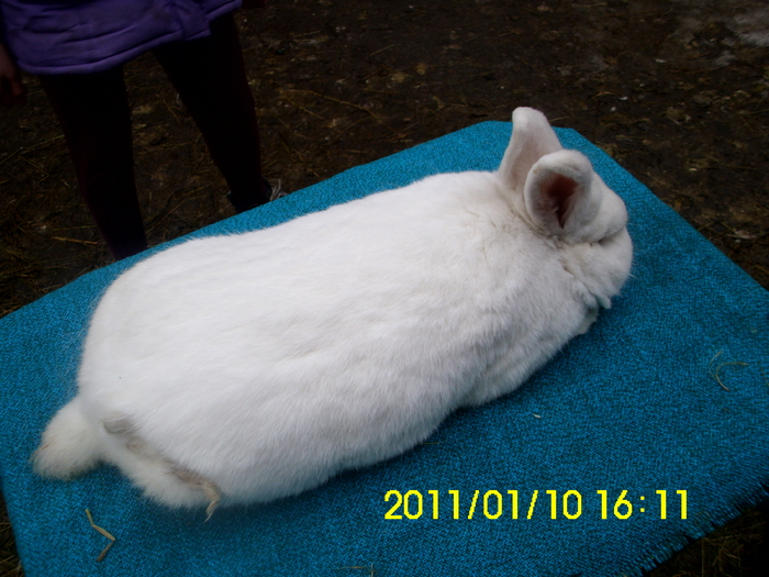 Picture 148