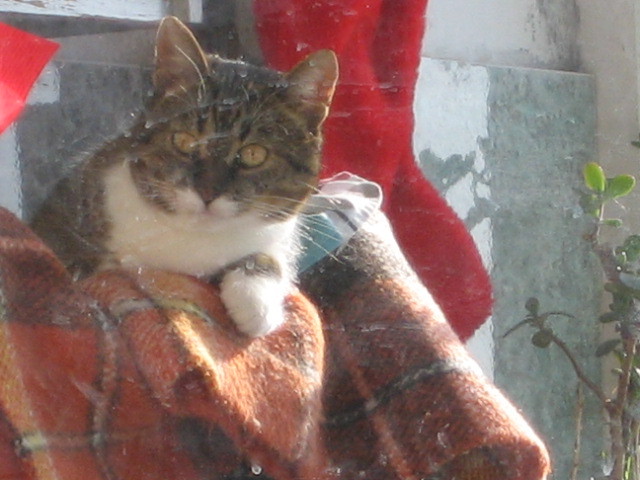 Picture 078; visand la vrabii
