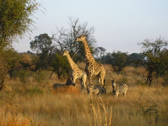 africa-077[1] - Africa