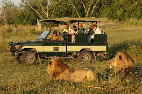 Tanzania-Safari1[1] - Africa