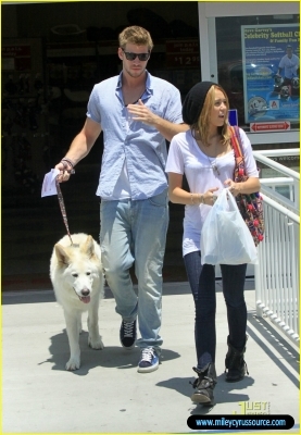 normal_miley-cyrus-liam-hemsworth-petco-03