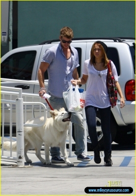 normal_miley-cyrus-liam-hemsworth-petco-18 - At Petco Pet Store In LA