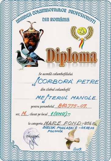 scan0013 - DIPLOME CU MATURI 2009