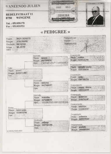 scan0025 - Pedigreele mele