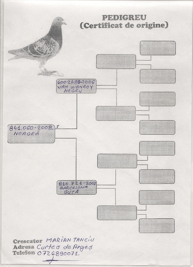 scan0012 - Pedigreele mele