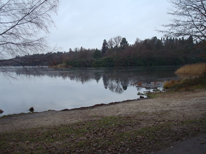 DSC06233 - PARCUL VIRGINIA WATER