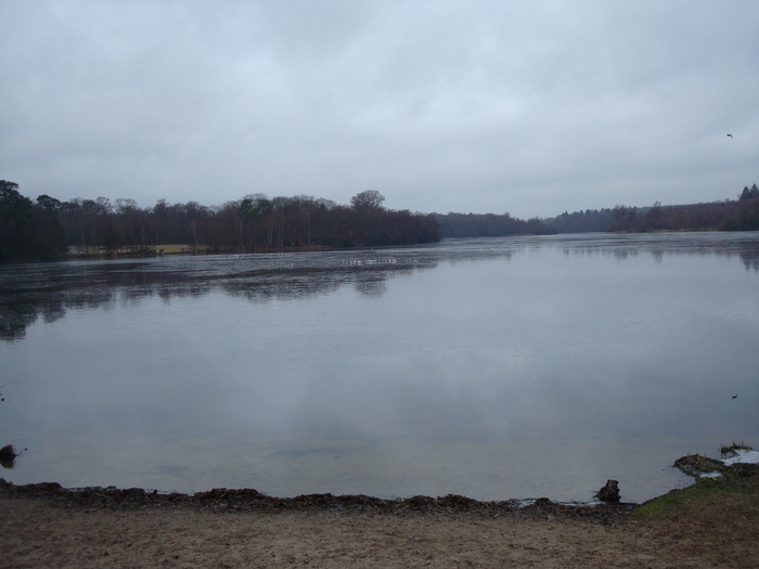 DSC06236 - PARCUL VIRGINIA WATER