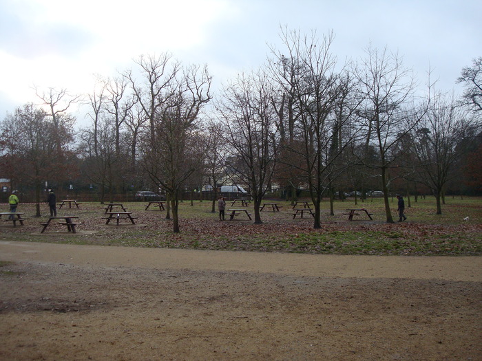 DSC06239 - PARCUL VIRGINIA WATER