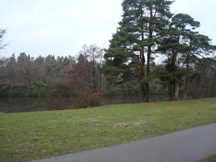 DSC06241 - PARCUL VIRGINIA WATER