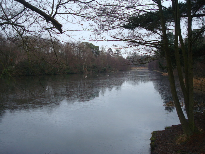 DSC06243 - PARCUL VIRGINIA WATER