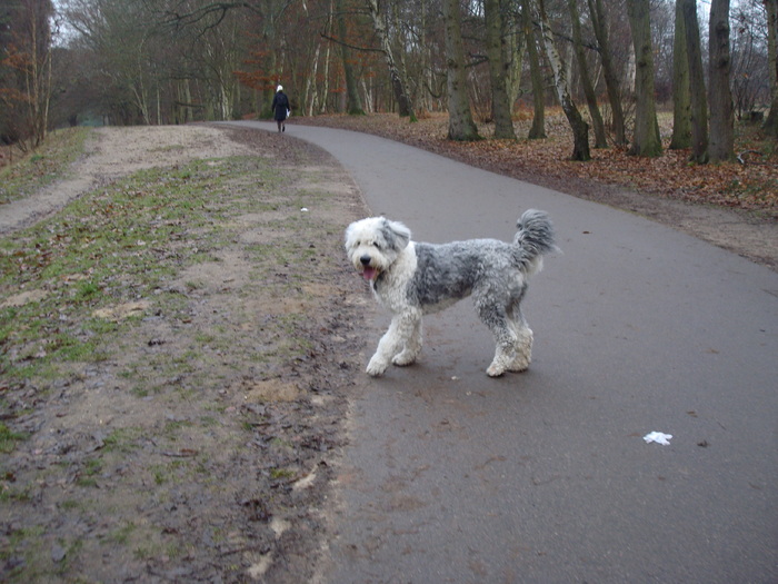 DSC06245 - PARCUL VIRGINIA WATER