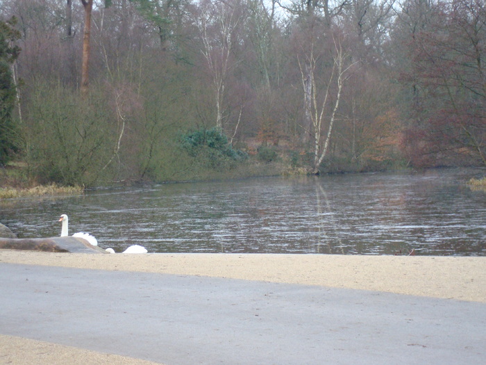 DSC06258 - PARCUL VIRGINIA WATER