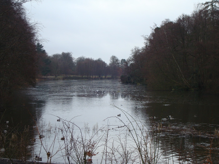 DSC06265 - PARCUL VIRGINIA WATER