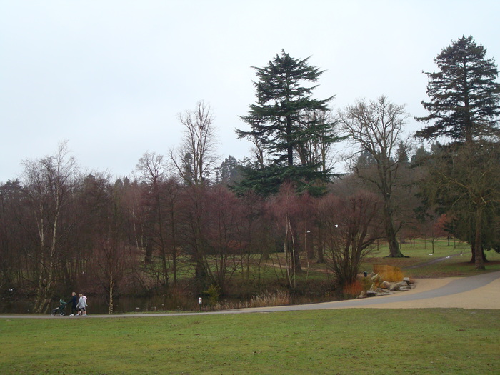 DSC06266 - PARCUL VIRGINIA WATER