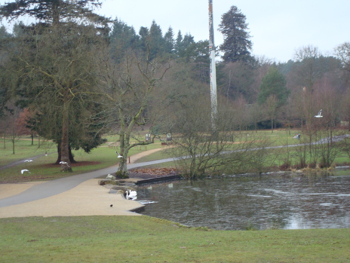 DSC06267 - PARCUL VIRGINIA WATER