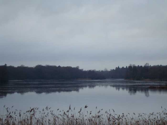 DSC06282 - PARCUL VIRGINIA WATER