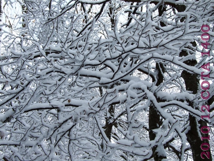 DSCF2624