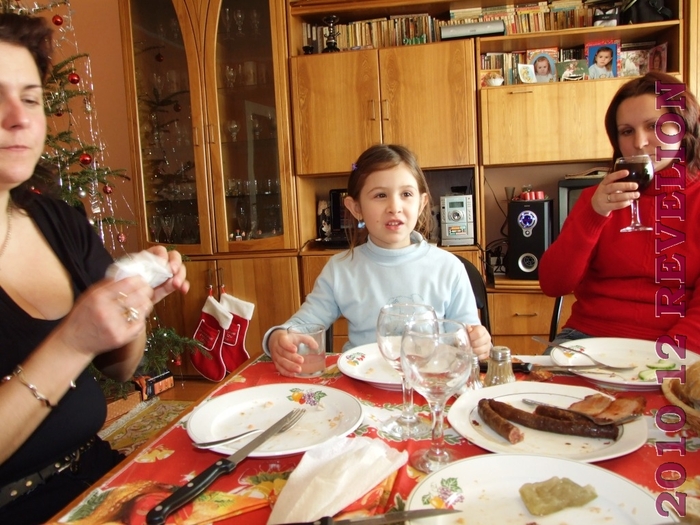 DSCF2893 - 2010 12 REVELION