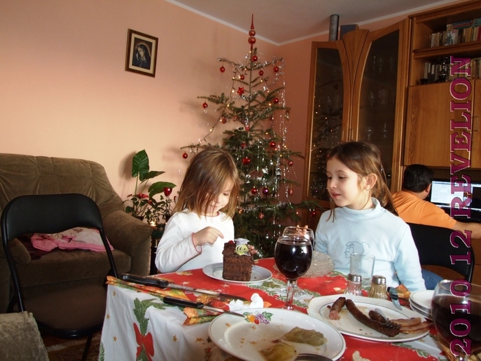 DSCF2899 - 2010 12 REVELION