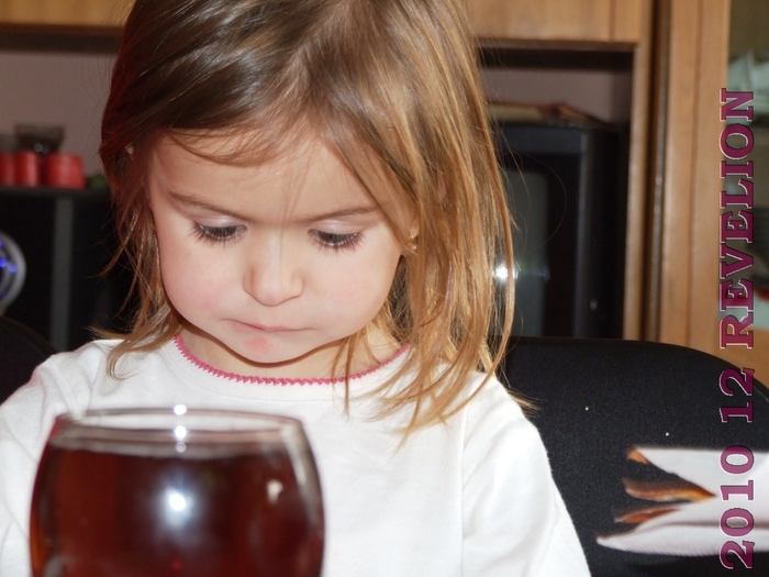 DSCF2907 - 2010 12 REVELION