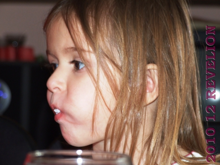 DSCF2908 - 2010 12 REVELION