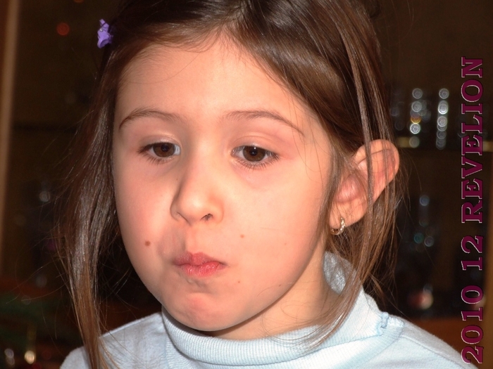 DSCF2910 - 2010 12 REVELION