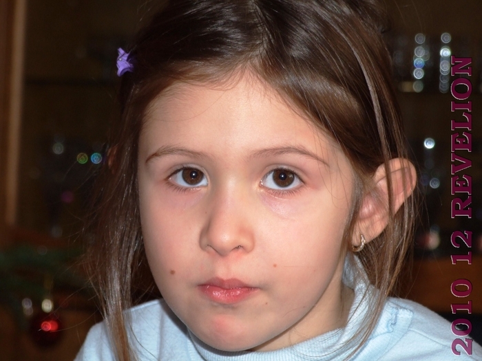 DSCF2911 - 2010 12 REVELION