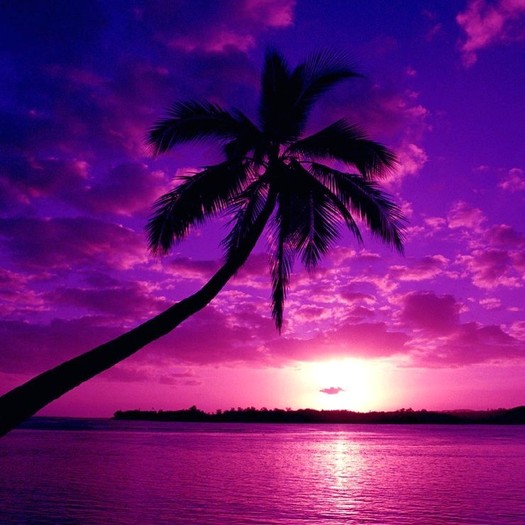 PurpleSky