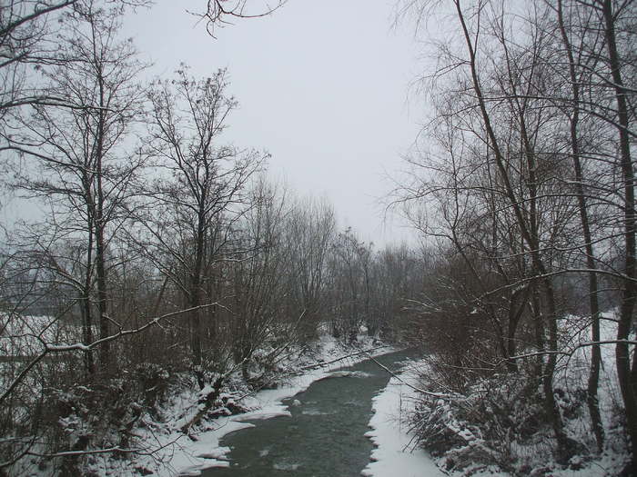 iarna 2011 051 - o    IARNA