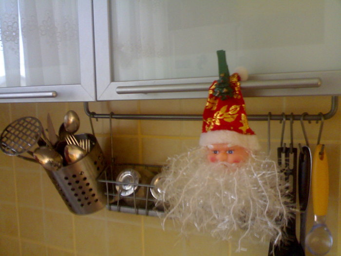 Iarna peste casuta 2010-2011