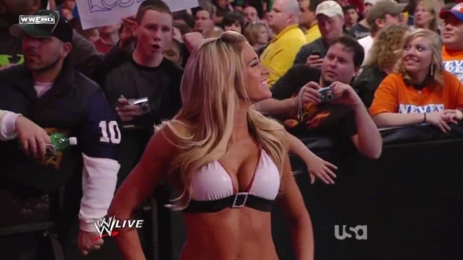 normal_WWE_Raw_01_25_10_Kelly_Kelly_720p_AC3_5_1_XviD_avi_000022622
