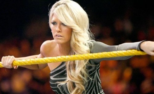 Kelly-Kelly-Cheers-Her-Pro-Naomi-At-NXT-500x305