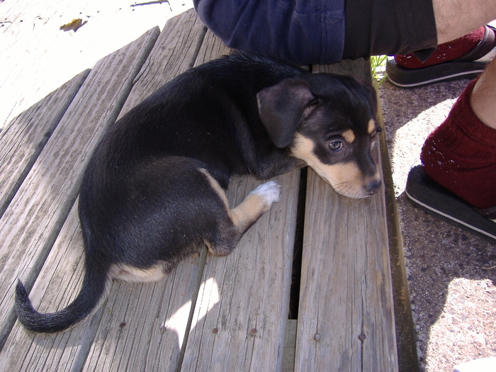 Lili : "Ce cuminte sunt!"