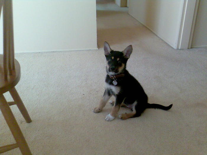 Marlen in primele zile acasa. La 4 luni.