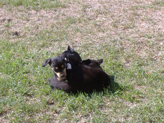 Lili & Didina se iau la trinta...