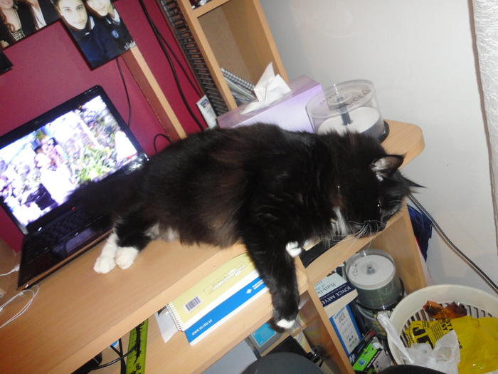 alooo, e plin cosul de gunoi..:))