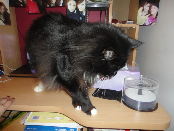 La ce film ne uitam azi?!