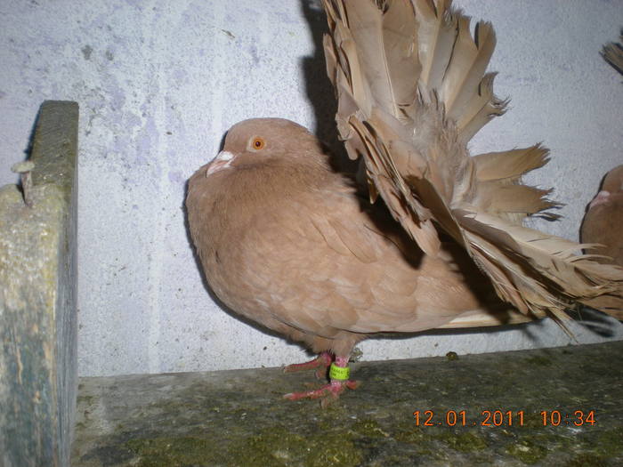 DSCN2925